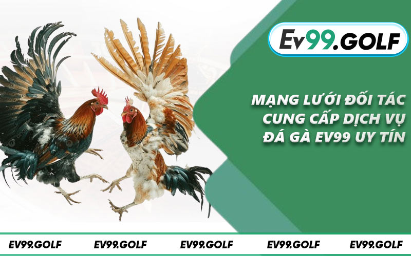 Mạng lưới đối tác cung cấp dịch vụ đá gà EV99 uy tín