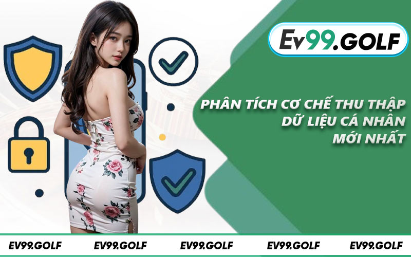 Phân tích cơ chế thu thập dữ liệu cá nhân mới nhất