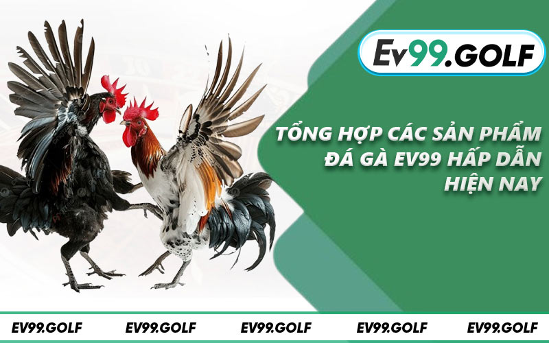 Tổng hợp các sản phẩm đá gà EV99 hấp dẫn hiện nay