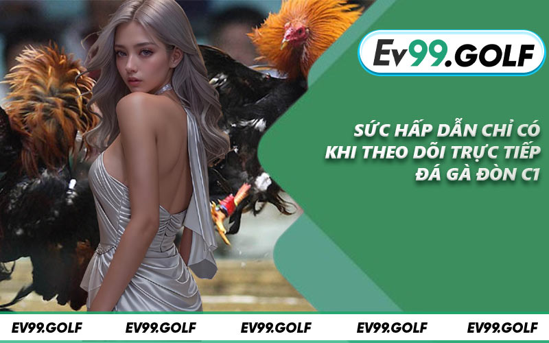 Sức hấp dẫn chỉ có khi theo dõi trực tiếp đá gà đòn C1