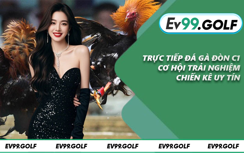 Trực Tiếp Đá Gà Đòn C1 - Cơ Hội Trải Nghiệm Chiến Kê Uy Tín